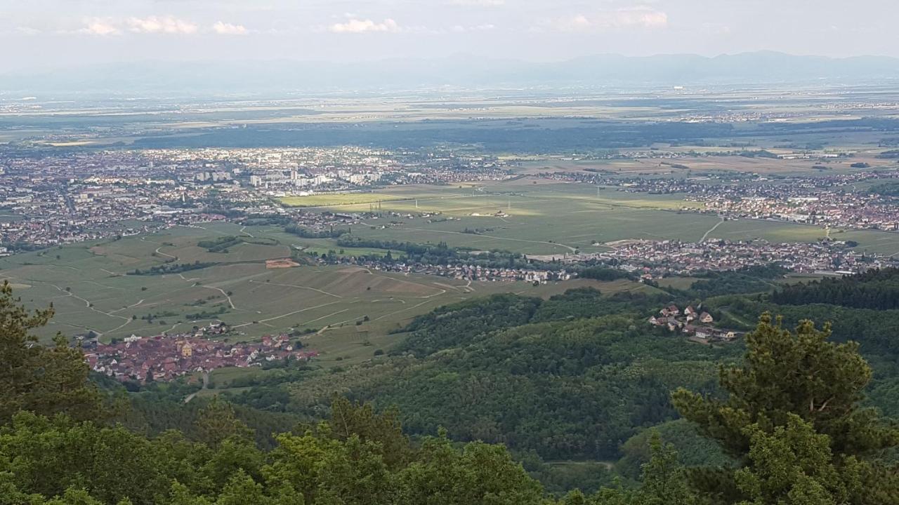 Les Iris Chambres D'Hote Niedermorschwihr Exteriér fotografie