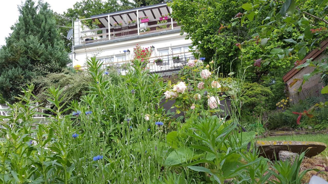 Les Iris Chambres D'Hote Niedermorschwihr Exteriér fotografie