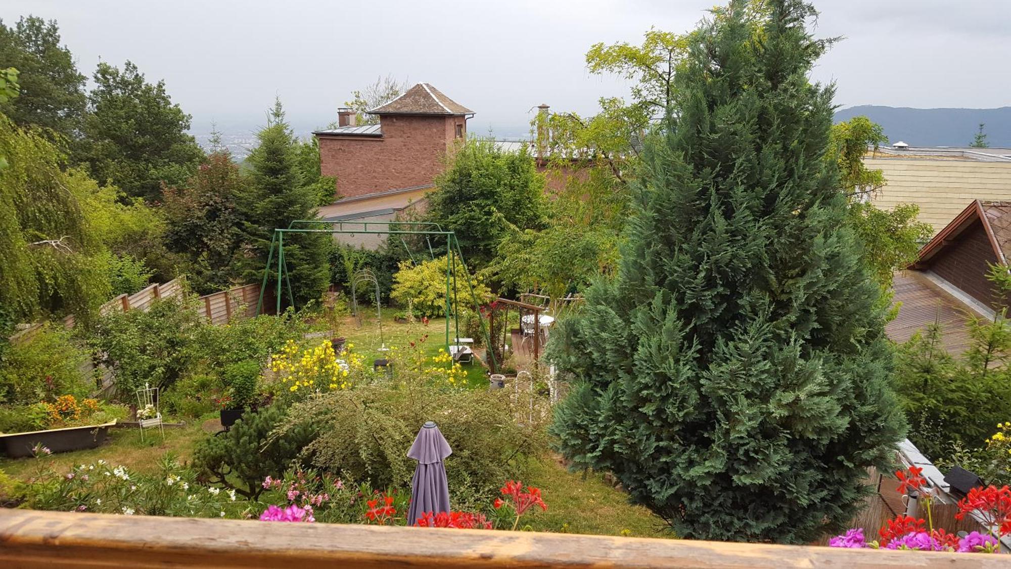 Les Iris Chambres D'Hote Niedermorschwihr Pokoj fotografie